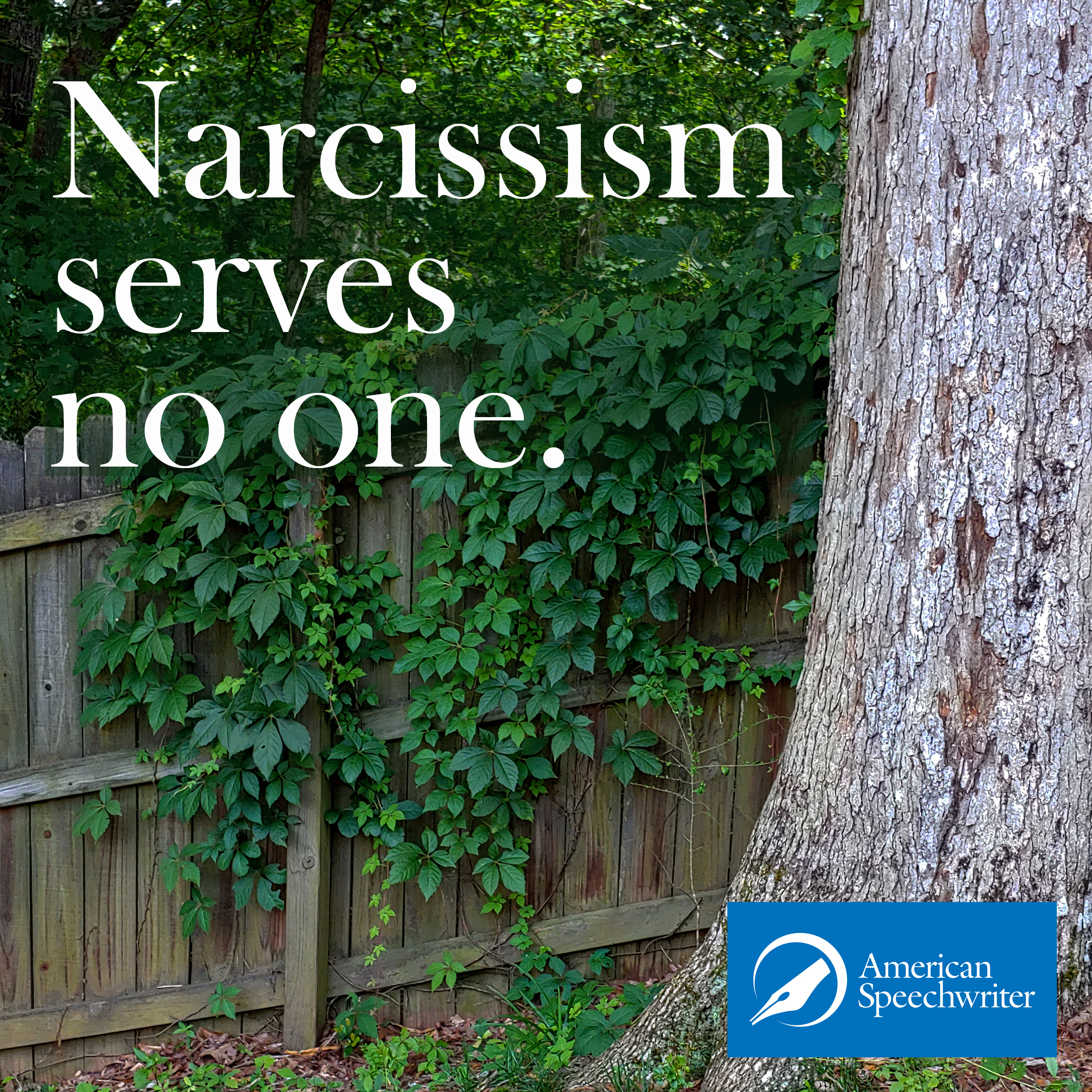 Narcissism serves no one