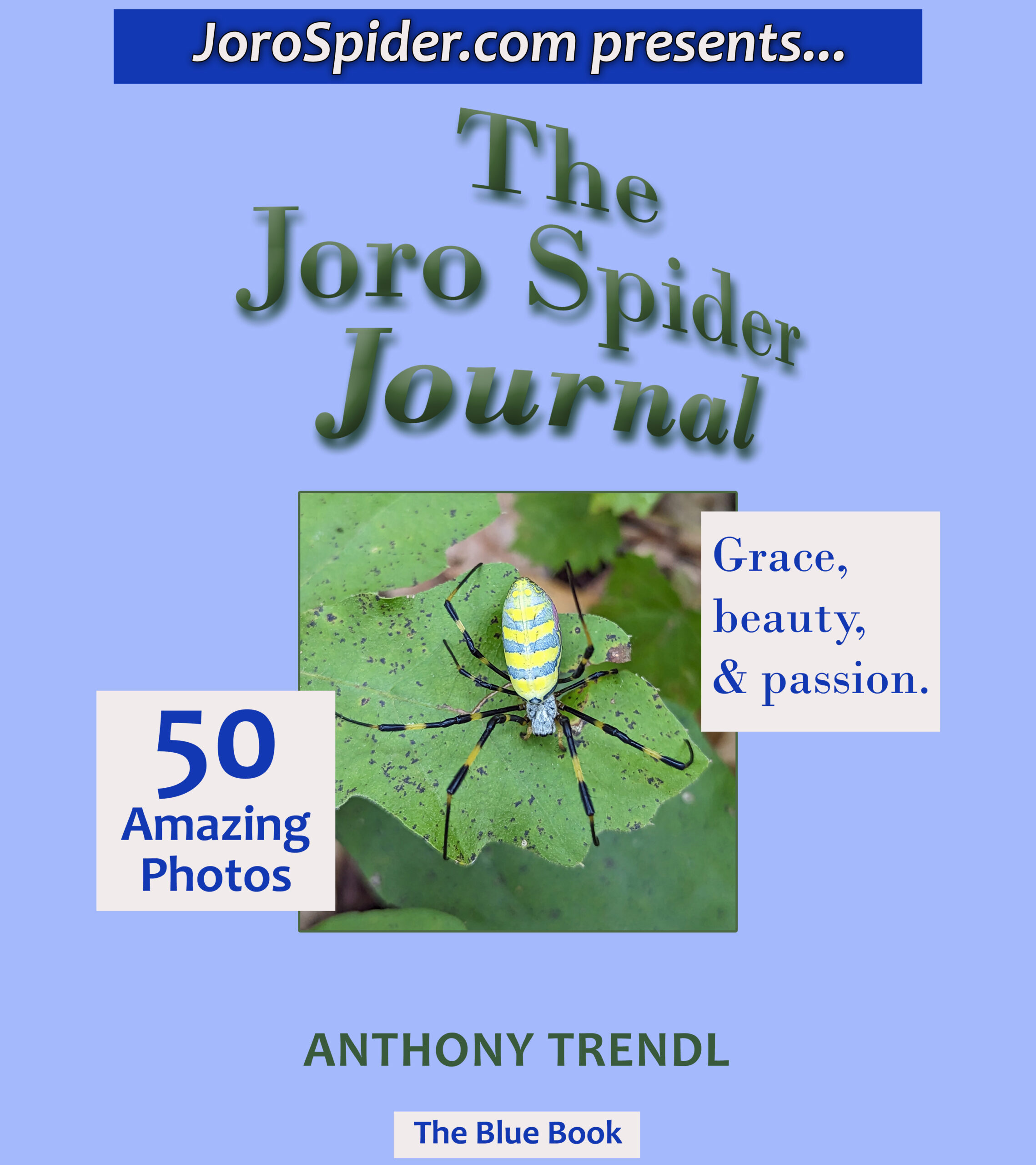 The Joro Spider Journal: The Blue Book